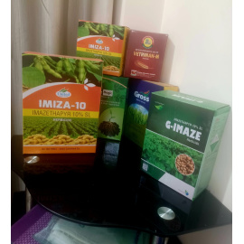 whatsapp_image_2024-05-28_at_4_18_51_pm_1