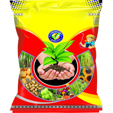 whatsapp_image_2024-05-28_at_4_14_00_pm